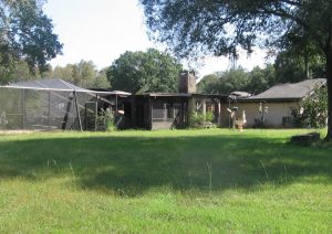 Custom Tampa Home - Fire Loss